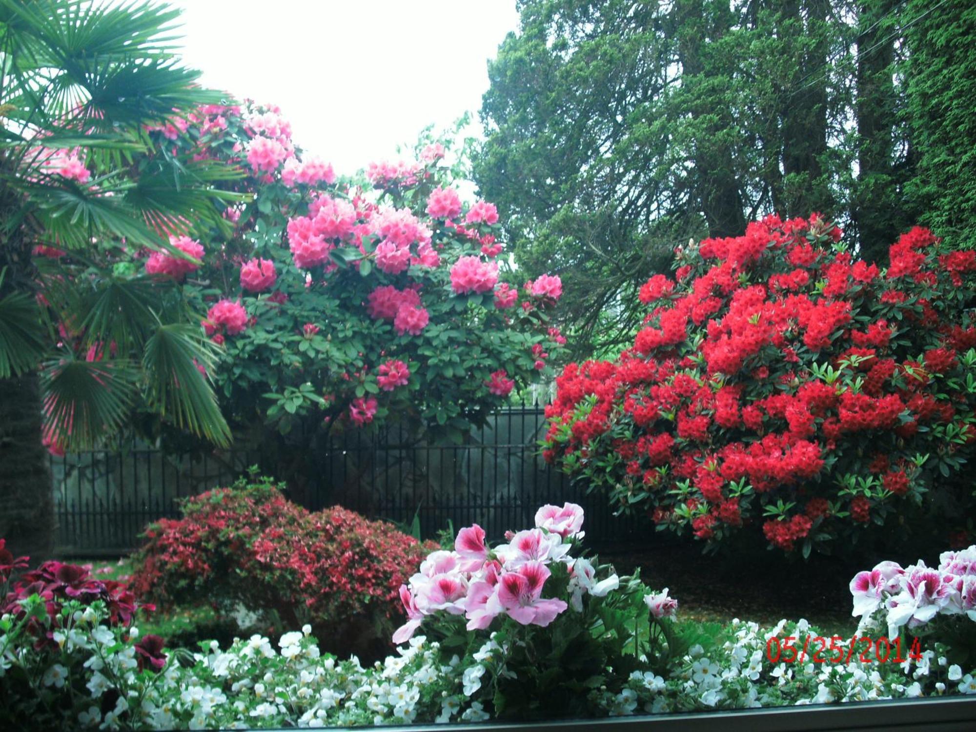 The Stone Hedge Bed And Breakfast Richmond Exterior foto